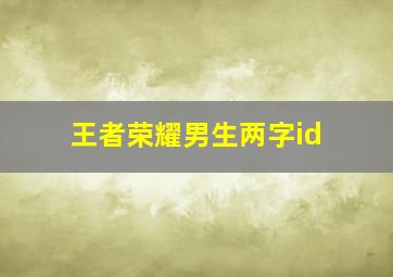 王者荣耀男生两字id