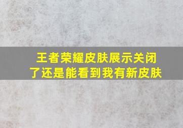 王者荣耀皮肤展示关闭了还是能看到我有新皮肤