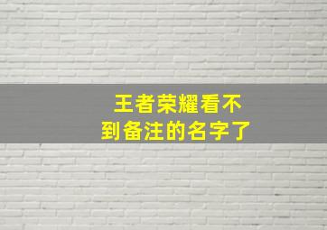 王者荣耀看不到备注的名字了