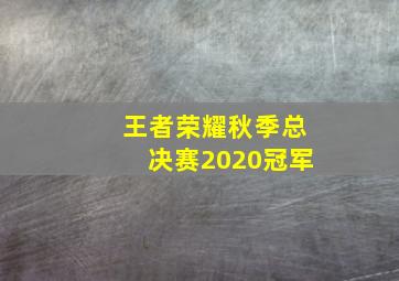 王者荣耀秋季总决赛2020冠军