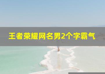 王者荣耀网名男2个字霸气