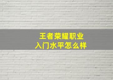 王者荣耀职业入门水平怎么样