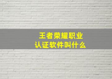 王者荣耀职业认证软件叫什么