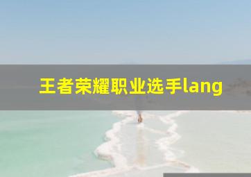 王者荣耀职业选手lang