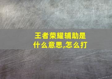 王者荣耀辅助是什么意思,怎么打