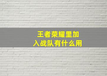 王者荣耀里加入战队有什么用