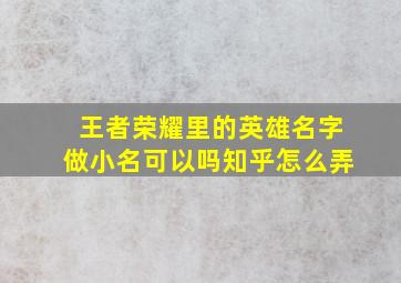 王者荣耀里的英雄名字做小名可以吗知乎怎么弄