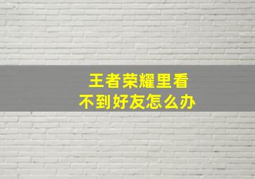 王者荣耀里看不到好友怎么办