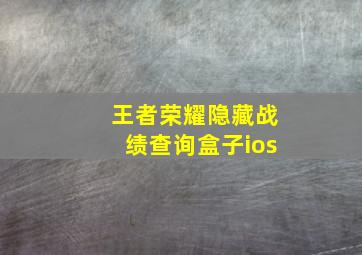 王者荣耀隐藏战绩查询盒子ios