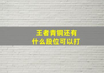 王者青铜还有什么段位可以打