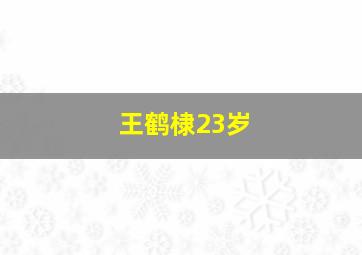 王鹤棣23岁