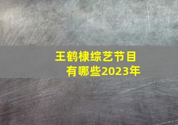 王鹤棣综艺节目有哪些2023年