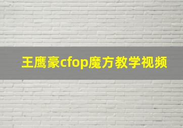 王鹰豪cfop魔方教学视频