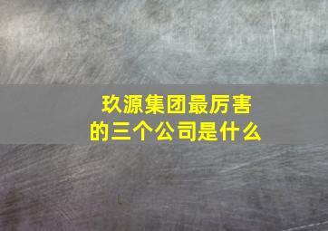 玖源集团最厉害的三个公司是什么