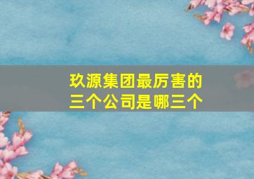 玖源集团最厉害的三个公司是哪三个