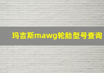 玛吉斯mawg轮胎型号查询