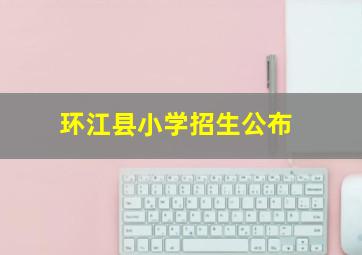 环江县小学招生公布