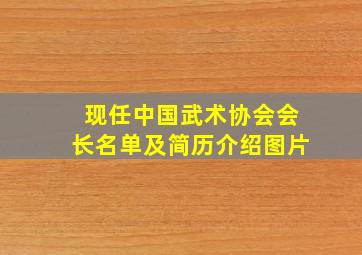 现任中国武术协会会长名单及简历介绍图片