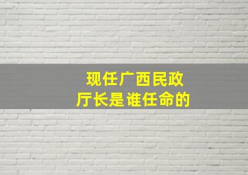 现任广西民政厅长是谁任命的