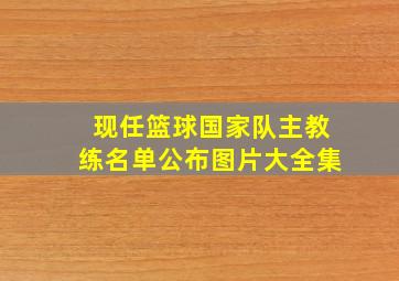 现任篮球国家队主教练名单公布图片大全集