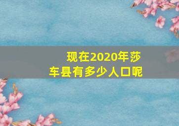 现在2020年莎车县有多少人口呢