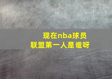 现在nba球员联盟第一人是谁呀