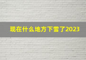 现在什么地方下雪了2023