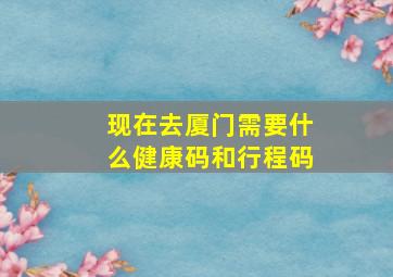 现在去厦门需要什么健康码和行程码