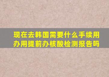 现在去韩国需要什么手续用办用提前办核酸检测报告吗