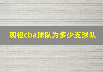 现役cba球队为多少支球队