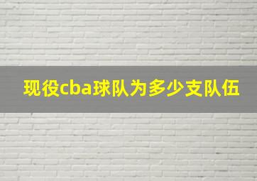 现役cba球队为多少支队伍