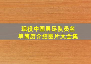 现役中国男足队员名单简历介绍图片大全集