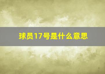 球员17号是什么意思