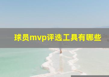 球员mvp评选工具有哪些