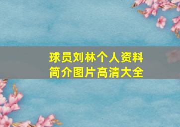 球员刘林个人资料简介图片高清大全