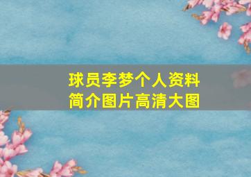 球员李梦个人资料简介图片高清大图