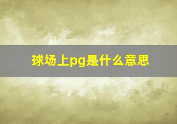 球场上pg是什么意思