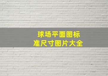 球场平面图标准尺寸图片大全