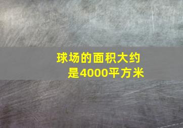 球场的面积大约是4000平方米