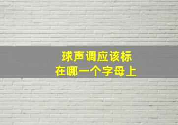 球声调应该标在哪一个字母上