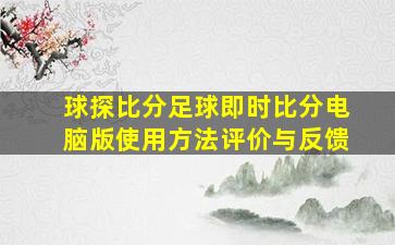 球探比分足球即时比分电脑版使用方法评价与反馈