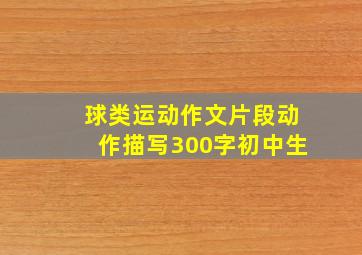 球类运动作文片段动作描写300字初中生