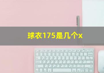 球衣175是几个x