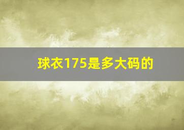 球衣175是多大码的