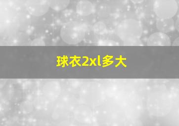 球衣2xl多大