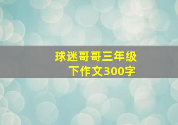 球迷哥哥三年级下作文300字