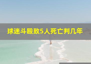 球迷斗殴致5人死亡判几年