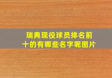 瑞典现役球员排名前十的有哪些名字呢图片