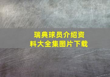 瑞典球员介绍资料大全集图片下载