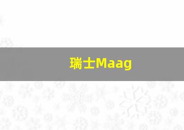 瑞士Maag